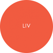 Liv 3 Catering Tableware Overlay