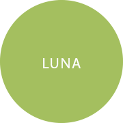 Luna Glass Bowl