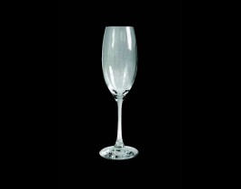Champagne Flute  4304NP329
