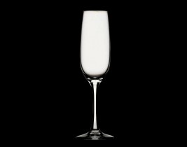 Champagne Flute  4404NP707