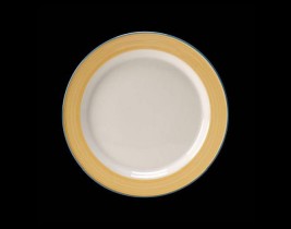 Slimline Plate 15300210