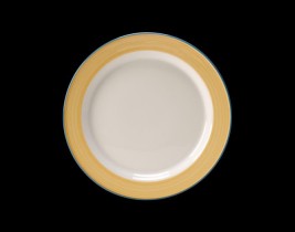 Slimline Plate 15300210